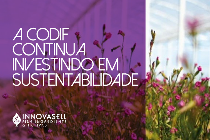 CODIF continua investindo em Sustentabilidade